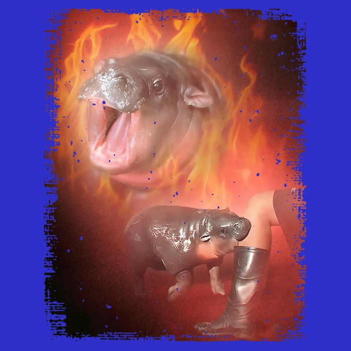 Moo Deng Bouncy Pig In Thai Fire Picture The Cute Baby Hippo T-Shirt