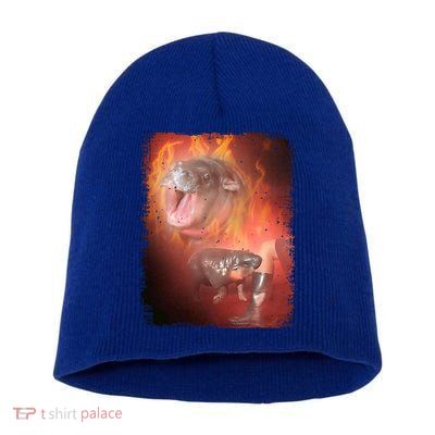 Moo Deng Bouncy Pig In Thai Fire Picture The Cute Baby Hippo Short Acrylic Beanie