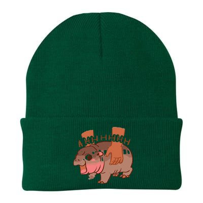 Moo Deng Bouncy Pig In Thai Picture The Cute Baby Hippo Knit Cap Winter Beanie