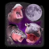 Moo Deng Bouncy Pig In Thai Picture Howling Under The Moon Flat Bill Trucker Hat
