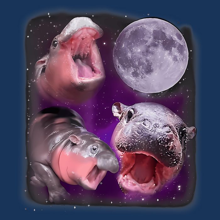 Moo Deng Bouncy Pig In Thai Picture Howling Under The Moon Infant Baby Jersey Bodysuit