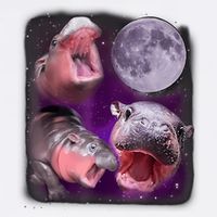 Moo Deng Bouncy Pig In Thai Picture Howling Under The Moon Garment-Dyed Sweatshirt