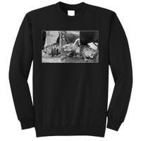 Moo Deng Baby Hippo Zoo Baby Hippo Black And White Sweatshirt