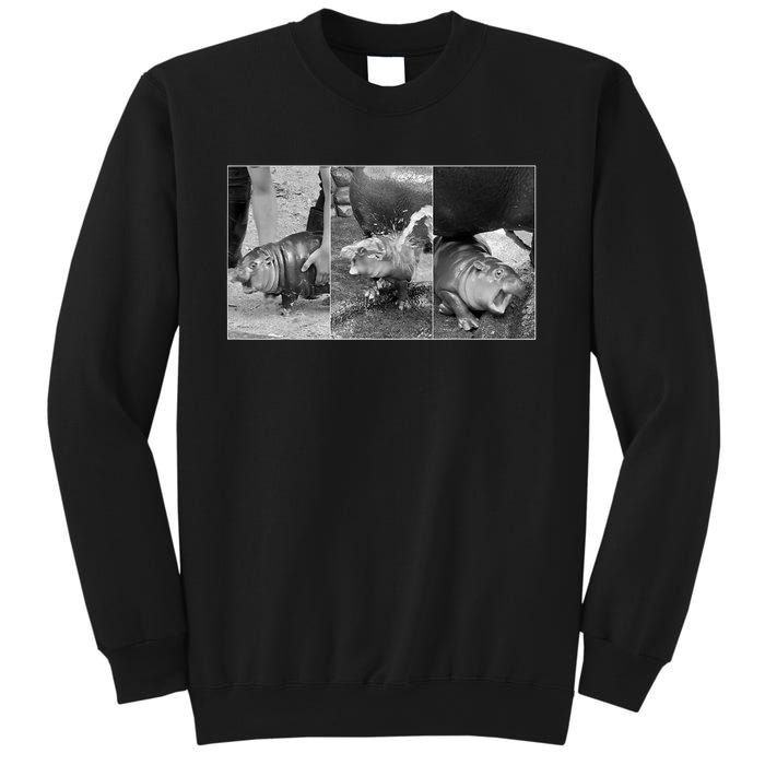 Moo Deng Baby Hippo Zoo Baby Hippo Black And White Sweatshirt