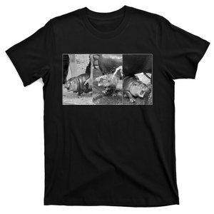 Moo Deng Baby Hippo Zoo Baby Hippo Black And White T-Shirt