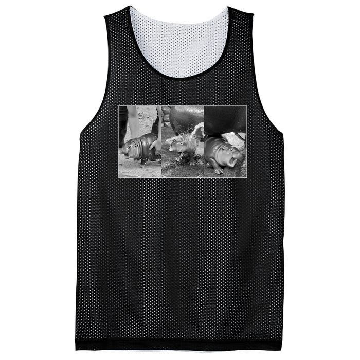 Moo Deng Baby Hippo Zoo Baby Hippo Black And White Mesh Reversible Basketball Jersey Tank