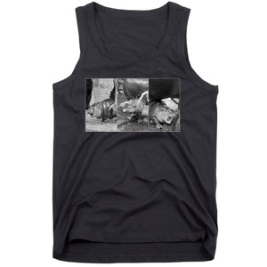 Moo Deng Baby Hippo Zoo Baby Hippo Black And White Tank Top