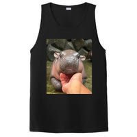 Moo Deng Bouncy Pig In Thai Picture The Cute Baby Hippo PosiCharge Competitor Tank