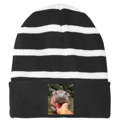 Moo Deng Bouncy Pig In Thai Picture The Cute Baby Hippo Striped Beanie with Solid Band