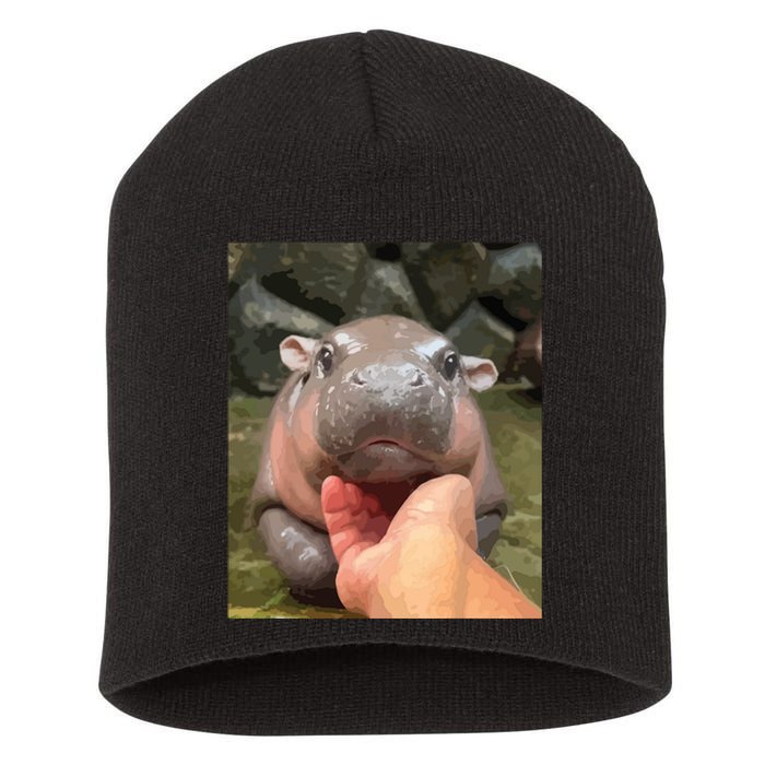 Moo Deng Bouncy Pig In Thai Picture The Cute Baby Hippo Short Acrylic Beanie