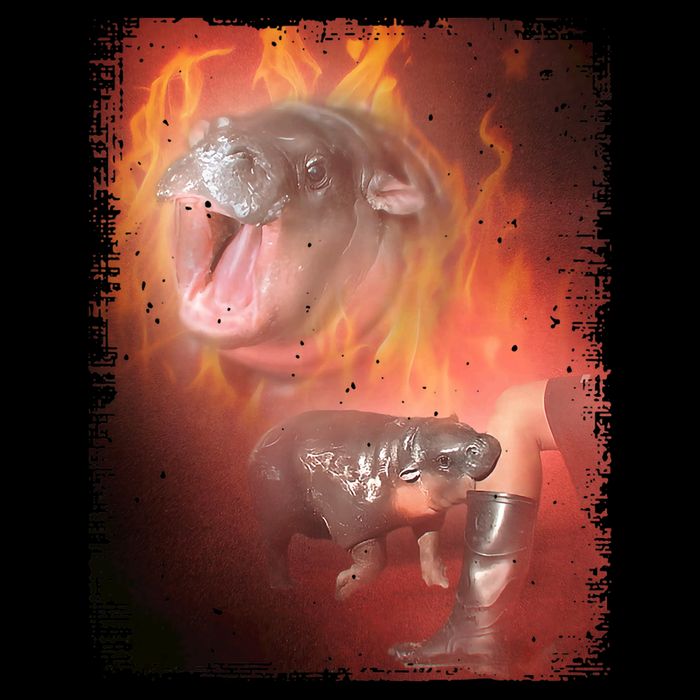 Moo Deng Bouncy Pig In Thai Fire Picture The Cute Baby Hippo 16 in Basic Backpack