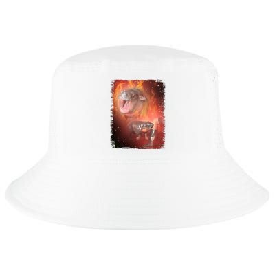 Moo Deng Bouncy Pig In Thai Fire Picture The Cute Baby Hippo Cool Comfort Performance Bucket Hat