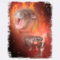 Moo Deng Bouncy Pig In Thai Fire Picture The Cute Baby Hippo Sustainable Bucket Hat