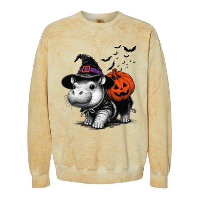 Moo Deng Bouncy Pig Moo Deng Halloween Funny Hippo With Pumpkin Witch Hat Colorblast Crewneck Sweatshirt