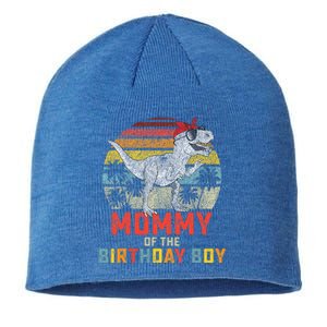 Mommy Dinosaur Birthday Mom Matching Family Sustainable Beanie