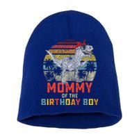 Mommy Dinosaur Birthday Mom Matching Family Short Acrylic Beanie