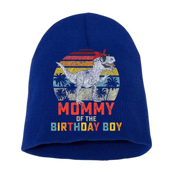 Mommy Dinosaur Birthday Mom Matching Family Short Acrylic Beanie