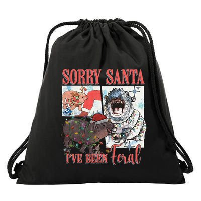 Moo Deng Christmas Santa Hat Sorry Santa IVe Been Feral Drawstring Bag