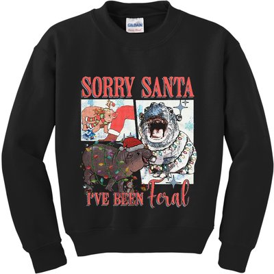 Moo Deng Christmas Santa Hat Sorry Santa IVe Been Feral Kids Sweatshirt
