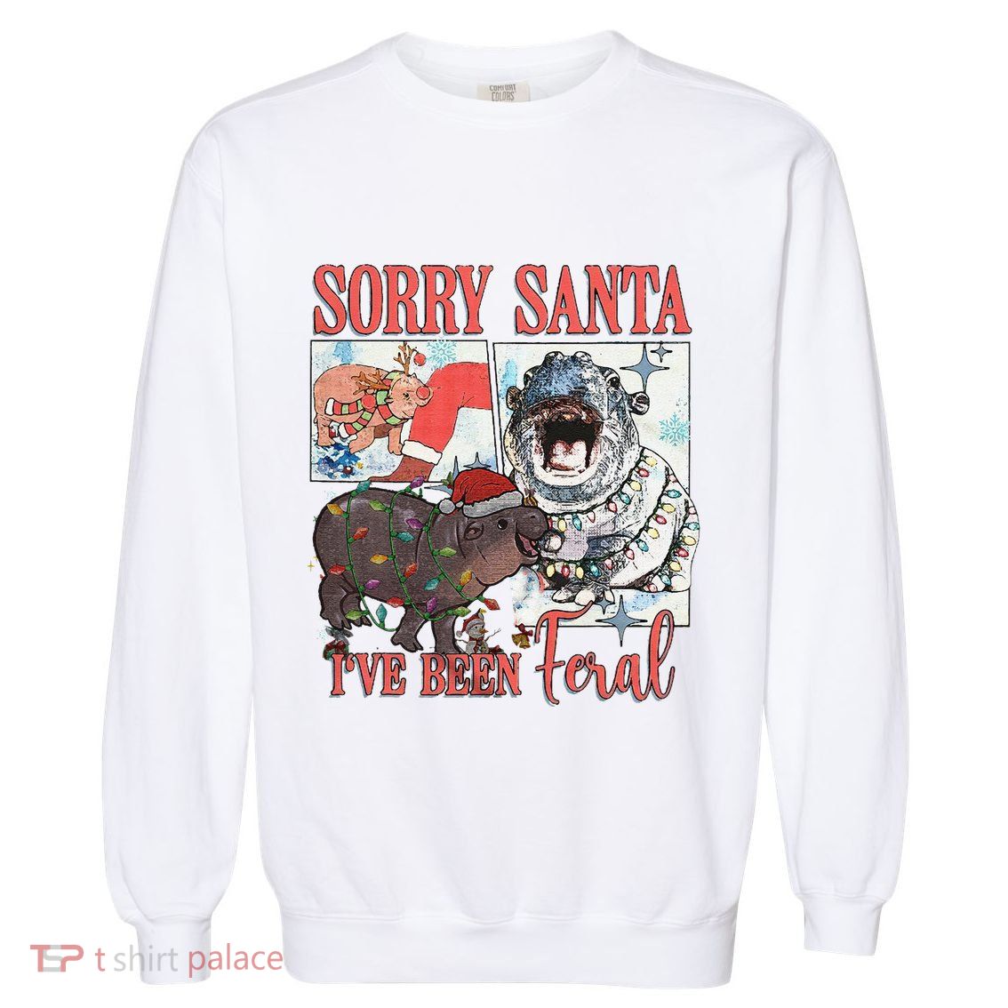 Moo Deng Christmas Santa Hat Sorry Santa IVe Been Feral Garment-Dyed Sweatshirt