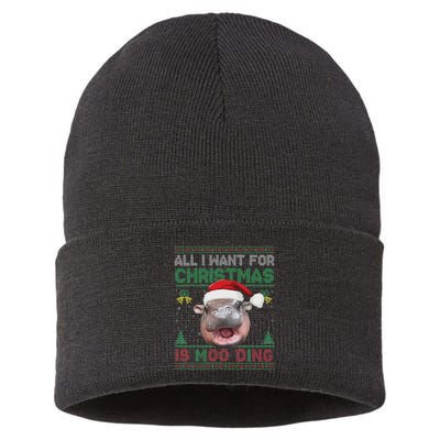 Moo Deng Christmas All I Want For Christmas Is Moo Deng Sustainable Knit Beanie