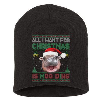 Moo Deng Christmas All I Want For Christmas Is Moo Deng Short Acrylic Beanie