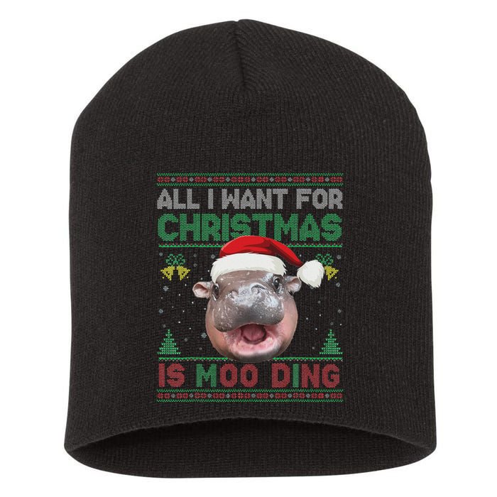 Moo Deng Christmas All I Want For Christmas Is Moo Deng Short Acrylic Beanie