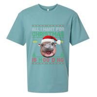 Moo Deng Christmas All I Want For Christmas Is Moo Deng Sueded Cloud Jersey T-Shirt