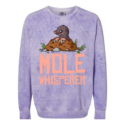 Mole Day Chemistry Hunter Chemist Colorblast Crewneck Sweatshirt