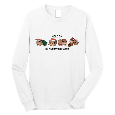 Moo Deng Christmas Long Sleeve Shirt