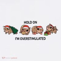 Moo Deng Christmas Bucket Hat