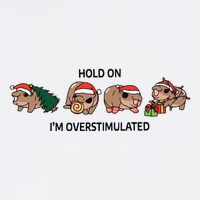 Moo Deng Christmas Flatbill Hat