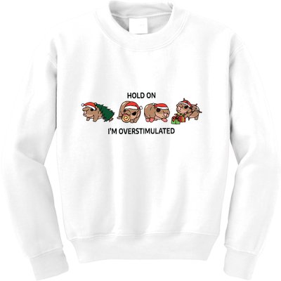 Moo Deng Christmas Kids Sweatshirt