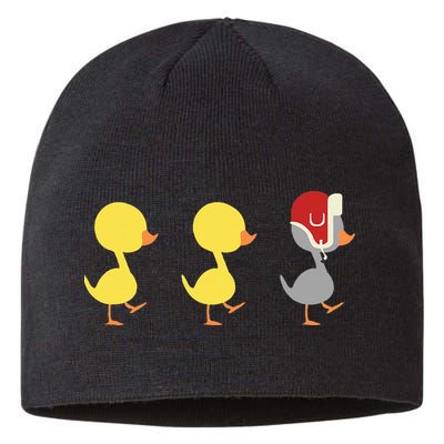 Minnesota Duck Duck Grey Duck Sustainable Beanie