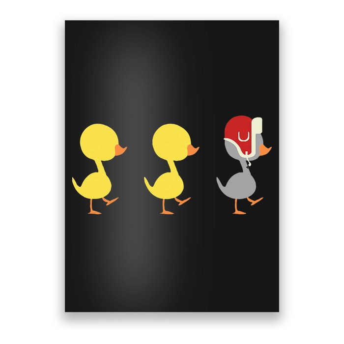 Minnesota Duck Duck Grey Duck Poster