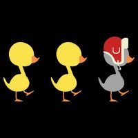 Minnesota Duck Duck Grey Duck Poster