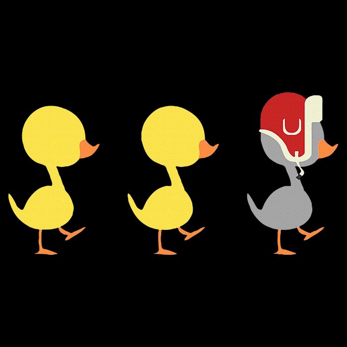 Minnesota Duck Duck Grey Duck Poster