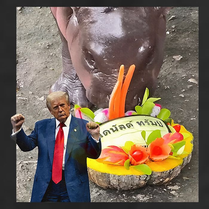 Moo Deng Endorsed Trump Hippo Predicting TrumpS Victory Garment-Dyed Fleece Hoodie