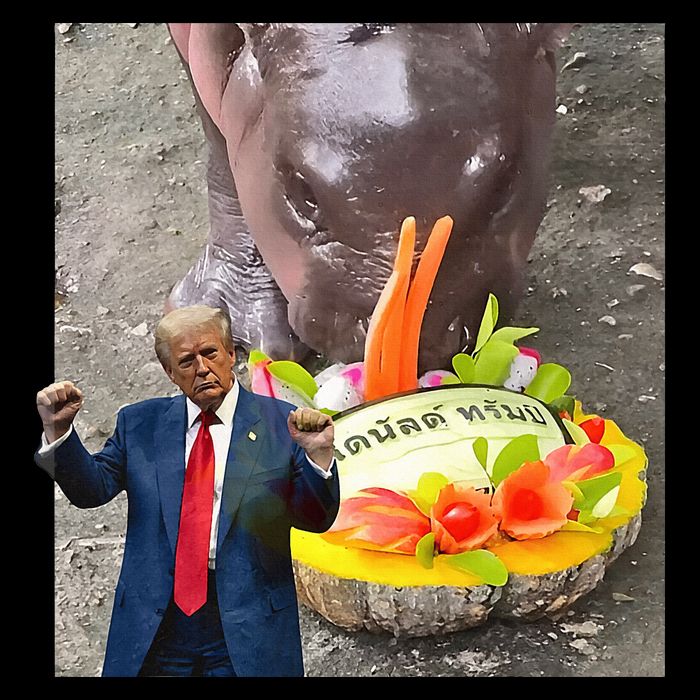 Moo Deng Endorsed Trump Hippo Predicting TrumpS Victory Flatbill Hat
