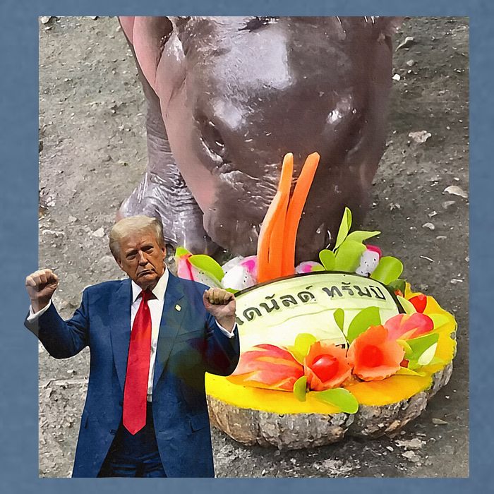 Moo Deng Endorsed Trump Hippo Predicting TrumpS Victory Garment-Dyed Sweatshirt