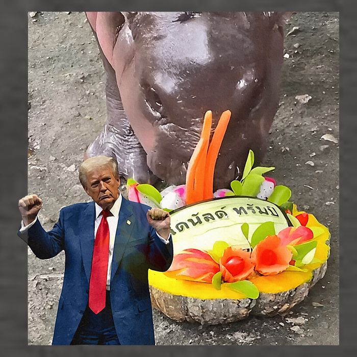 Moo Deng Endorsed Trump Hippo Predicting TrumpS Victory Vector Backpack