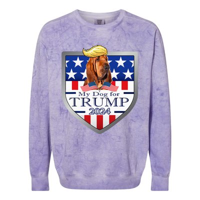 My Dog For Trump 2024 Bloodhound Colorblast Crewneck Sweatshirt