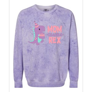 Mom Dinosaur Family Matching Birthday Girl Party Daughtrer Colorblast Crewneck Sweatshirt