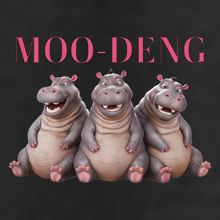 Moo Deng Funny Hippo Pygmy Hippopotamu Knit Cap Winter Beanie