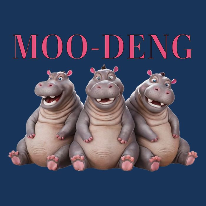 Moo Deng Funny Hippo Pygmy Hippopotamu Infant Baby Jersey Bodysuit
