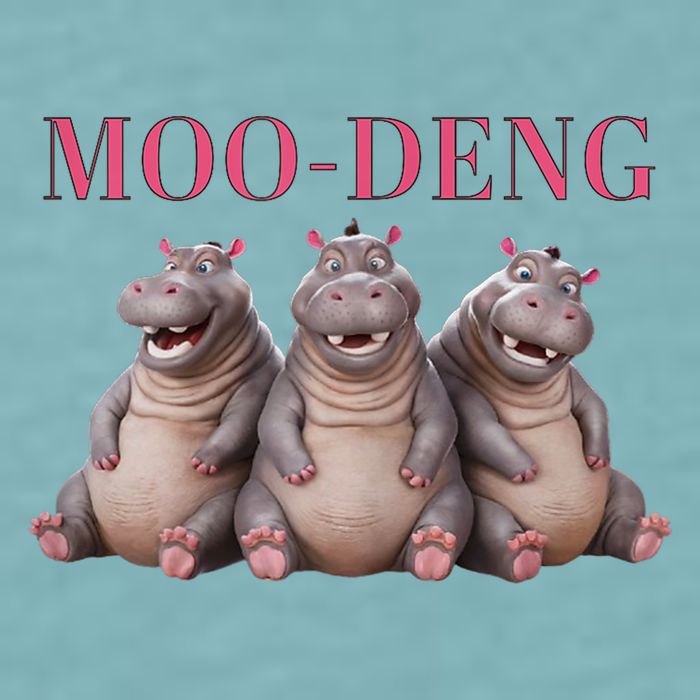 Moo Deng Funny Hippo Pygmy Hippopotamu Sueded Cloud Jersey T-Shirt