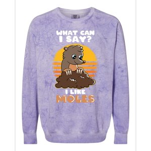 Mole Day Funny Mole Cute Mole I Like Moles Gift Colorblast Crewneck Sweatshirt