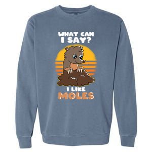 Mole Day Funny Mole Cute Mole I Like Moles Gift Garment-Dyed Sweatshirt