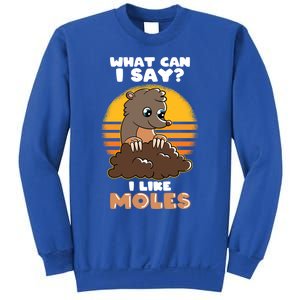 Mole Day Funny Mole Cute Mole I Like Moles Gift Sweatshirt