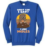 Mole Day Funny Mole Cute Mole I Like Moles Gift Sweatshirt